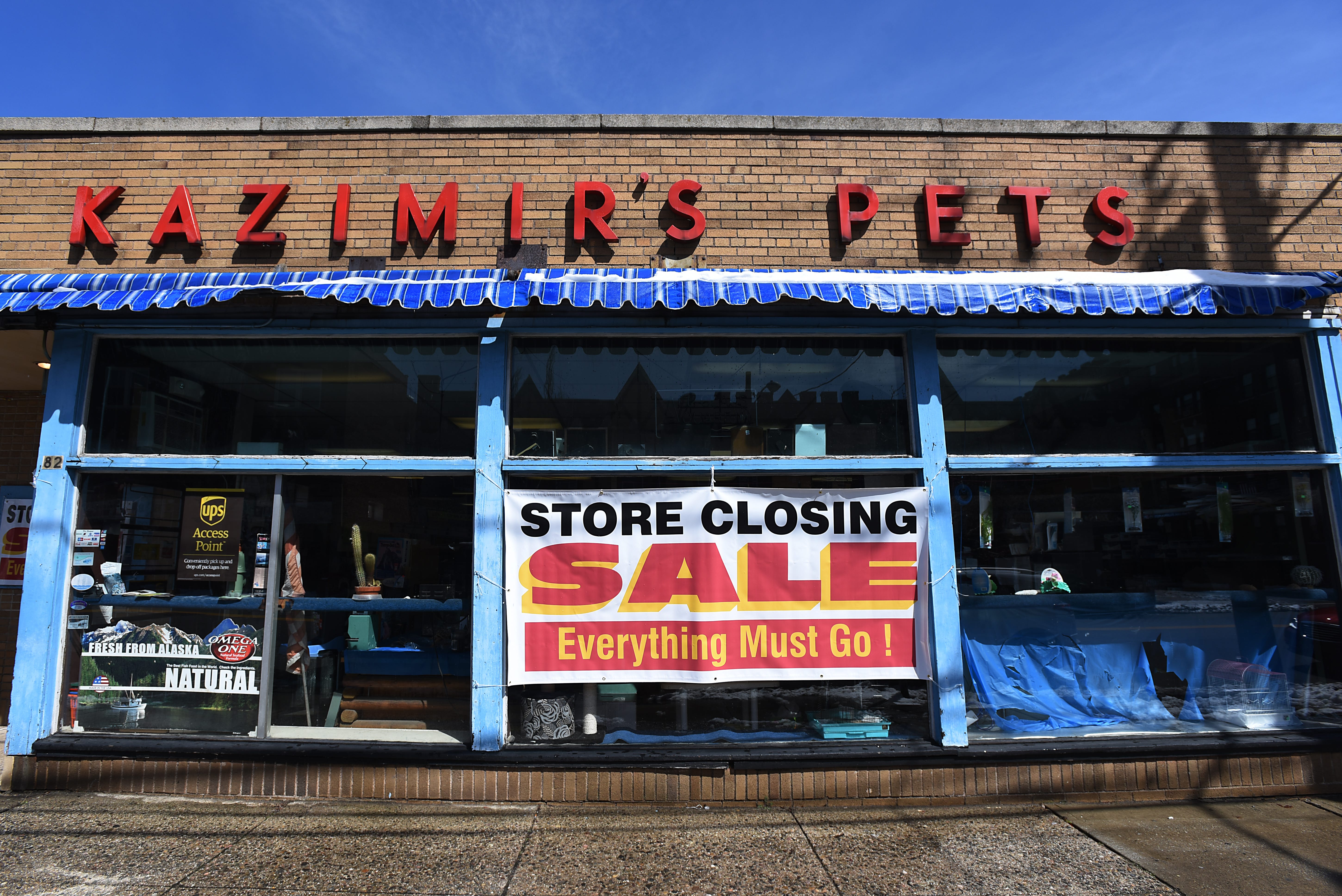 city center pet shop